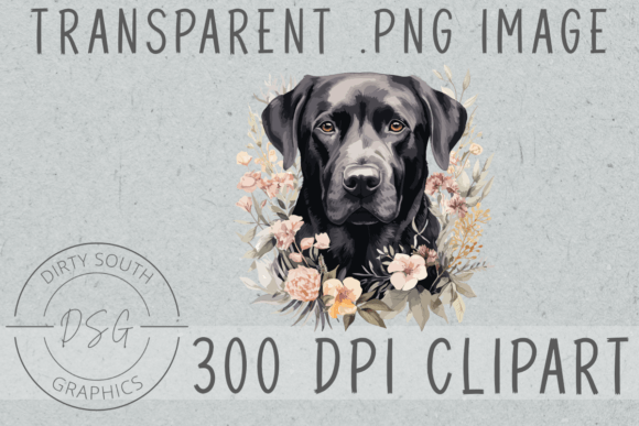 Floral Black Lab: A Graphic Design Review for Real Projects