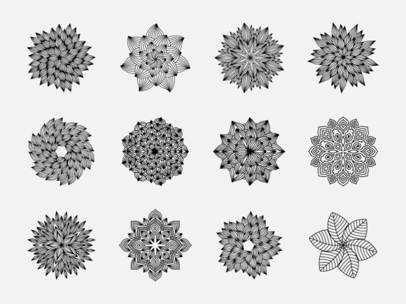 Floral Mandala Vector Element Graphics & Illustrations Review