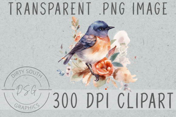 Floral Watercolor Bird Clip Art Graphics and Illustrations