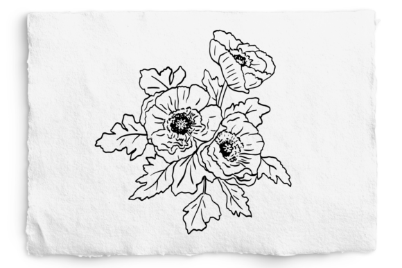 Icelandic Poppy SVG, Poppy Floral PNG Graphics and Illustrations Review