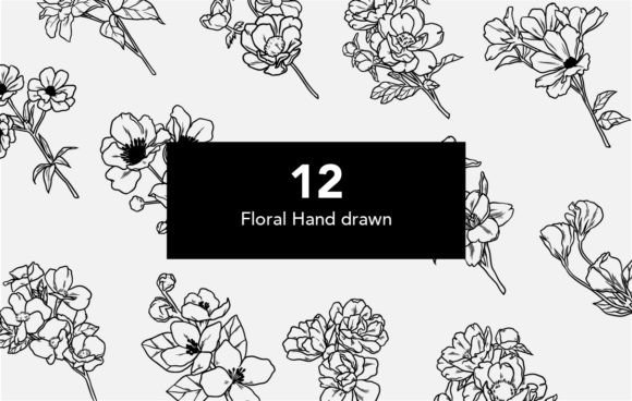 Set of Floral Hand Drawn Graphics and Illustrations Review