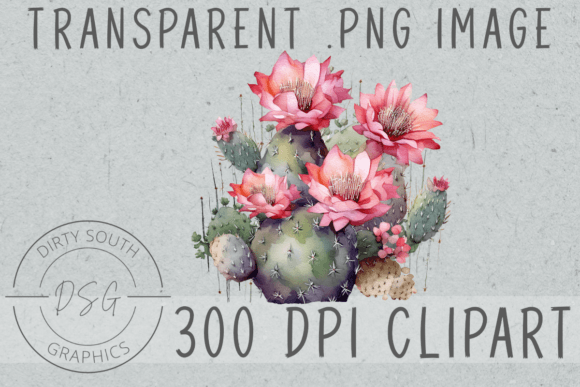 Watercolor Floral Cactus Clip Art Graphics and Illustrations Review